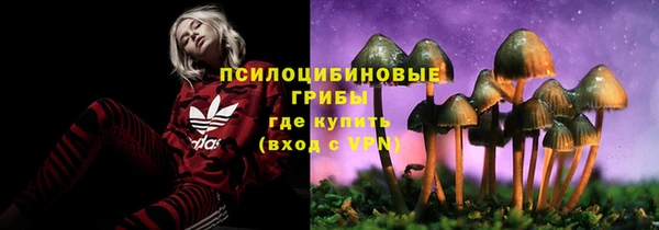 крисы Балахна