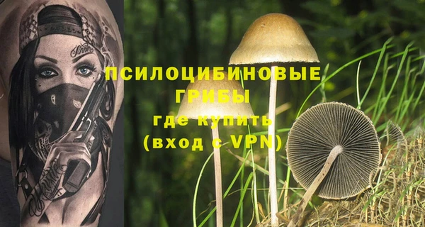 крисы Балахна