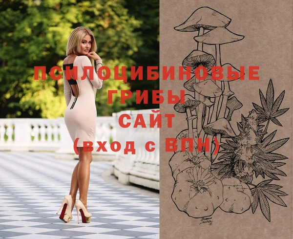 крисы Балахна