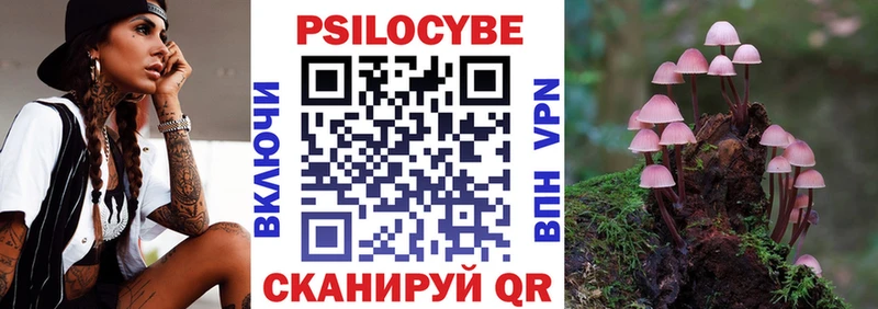 Купить где  Строитель  Псилоцибиновые грибы Psilocybine cubensis 