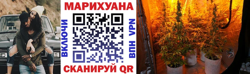 Купить закладки  Строитель  Марихуана SATIVA & INDICA 